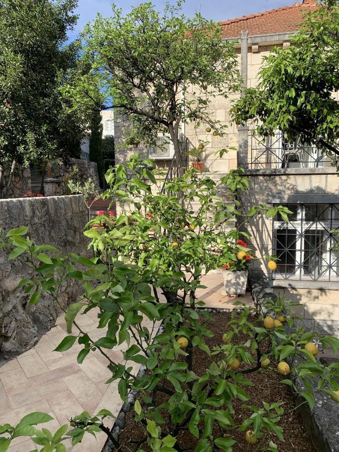 Villa Arancia Dubrovnik Luaran gambar